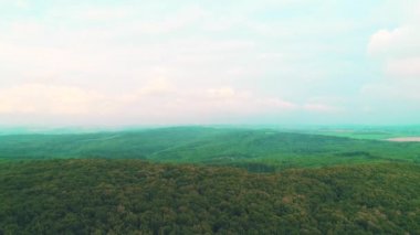 Havadan görünüm. Yaz aylarında güneş parlaması ile çam ormanları orman ve dağ vadisine doğru ilerliyor. 4k.