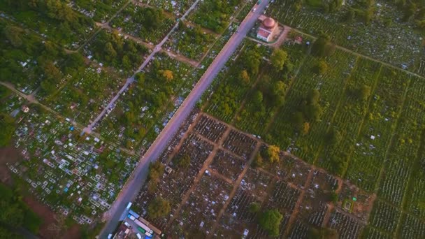 Vista aérea superior del cementerio de madera verde en la zona rural. 4K . — Vídeos de Stock