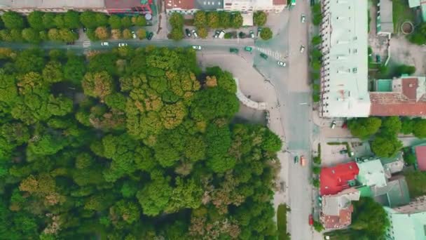 Bovenaanzicht van de dicht beplante stad met snelle auto's in beweging. 4k. — Stockvideo