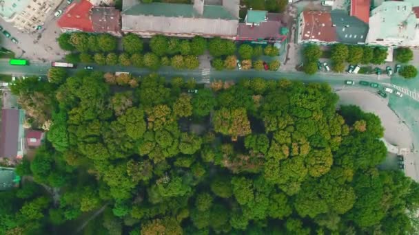 Aerial zoom in dense planted town with fast cars moving. 4K. — Stock Video