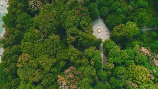 첫 번째 대규모 레크리에이션 공원의 공중 보기. 4k — 비디오