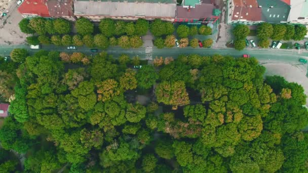 Aerial zoom in dense planted town with fast cars moving. 4K. — Stock Video