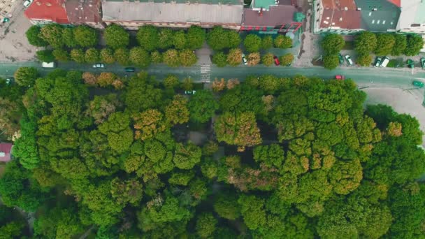 Zoom aérien dans la ville dense plantée avec des voitures rapides se déplaçant. 4K . — Video