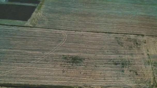 Vista aérea del campo arado en la gran granja. 4K . — Vídeo de stock