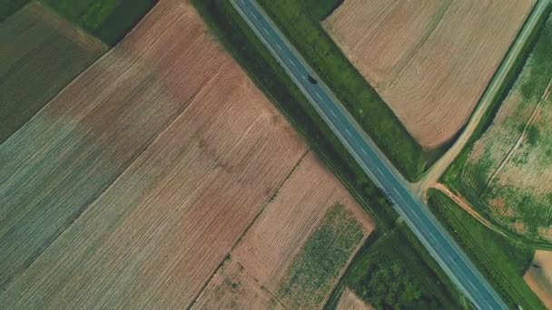 Vuelo aéreo sobre la carretera entre campos. 4K . — Vídeo de stock