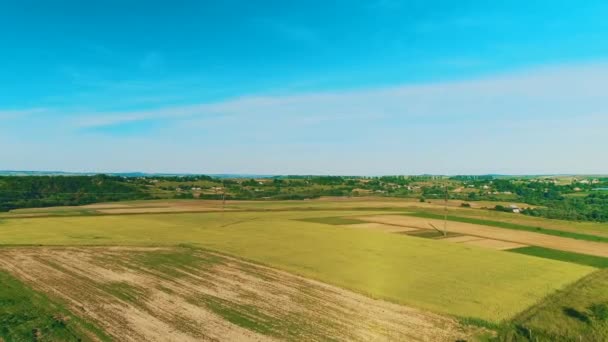 Widok z lotu ptaka, pół-panoramiczny widok domów wśród pól w obszarze wiejskim. 4K. — Wideo stockowe