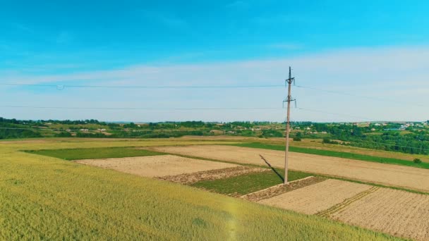 Vista aérea de aves de agricultura y campos inocentes en una aldea rural. 4K . — Vídeo de stock