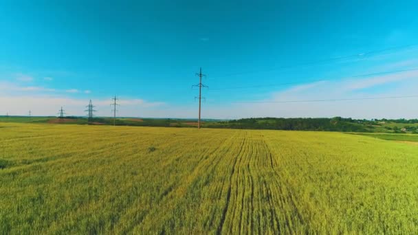 Drönarvy över landsbygdsområdet bland gyllene mogna vetefält och bondgårdar på en molnig sommardag. — Stockvideo