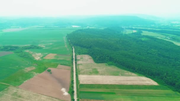 Havadan insansız hava aracı çiftlik arazileri ve evlerin üzerinde uçuyor. 4k. — Stok video