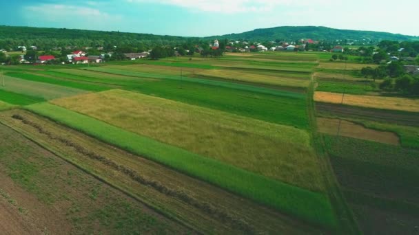 Vista aérea de un pequeño pueblo, tierras de cultivo, campos verdes y prados, en tierras agrícolas rurales, en un día soleado de verano. 4K . — Vídeos de Stock