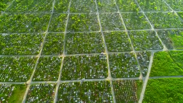 Imágenes de video 4K de un dron aéreo avanzando para revelar la escala de un gran cementerio en un brillante día de primavera . — Vídeos de Stock