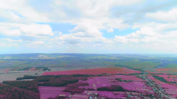 Bovenaanzicht. Lucht drone vliegt over het pittoreske dorp. 4k. — Stockvideo