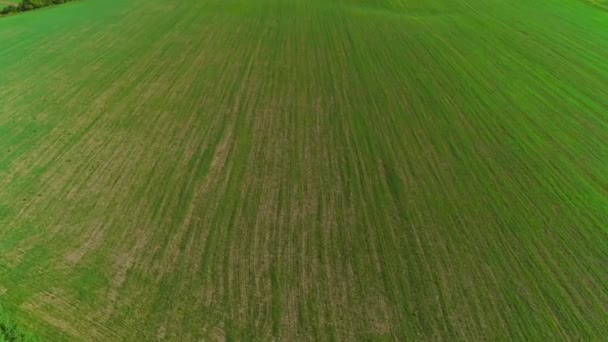 Zoom aéreo de campo verde largo irrigado. 4K . — Vídeo de Stock