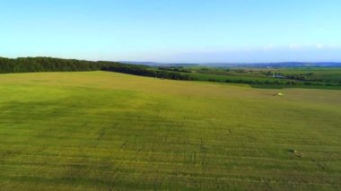 Çalışan kombinörler ile canlı doğa ve tarım havadan görünümü. 4k.