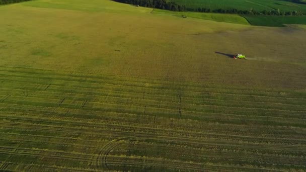 Aerial view looking down onto a combine harvester cutting corn crops on a summer day. 4K. — Stock Video