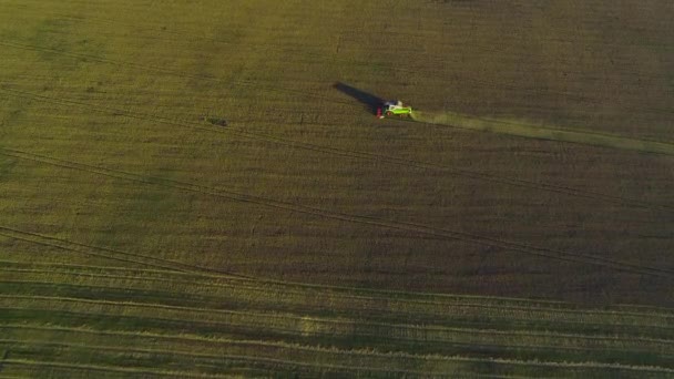 Imágenes aéreas de la maquinaria agrícola cosechando patatas. 4K , — Vídeo de stock