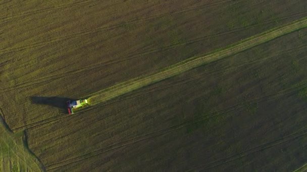 Cosechando en las tierras de cultivo. 4K . — Vídeos de Stock