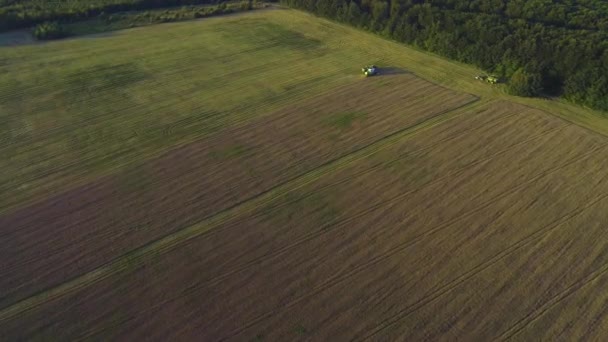 Vista aérea de la cosecha de patatas con remolque moderno excavadora de patatas unido a un tractor. 4K . — Vídeo de stock