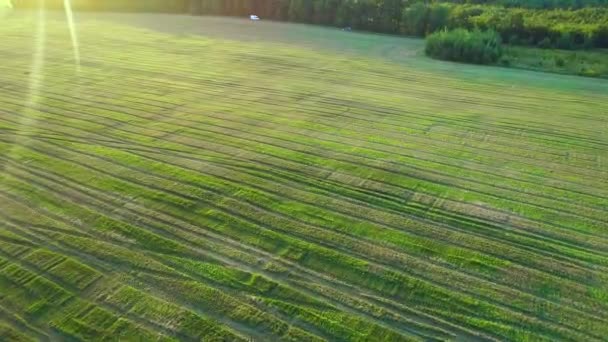 Vista aérea de la transición sin fisuras desde el campo verde puro en bosque denso y montañas. 4K . — Vídeo de stock