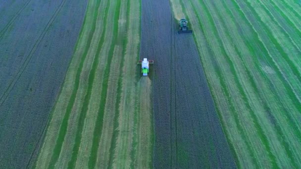 Récolte sur les terres agricoles. 4K .