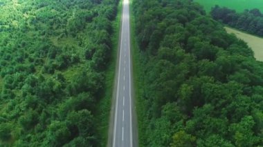 Yoğun dikilen ağaçlar ve verimli tarlalarla çevrili boş yolun havadan görünümü. 4k.