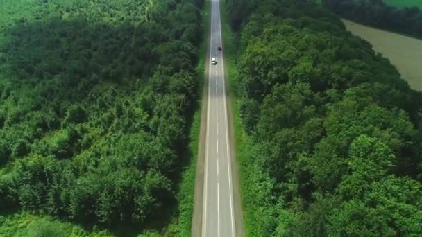 ドローンビューの上を飛びます。車は山の中で密集した森の中で高速道路に沿って運転しています。4k. — ストック動画