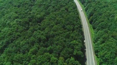 Ormanda kırsal yolda sürüş beyaz araba havadan görünümü. 4k.