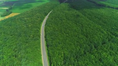 Yeşil yaylalar yoğun orman ve dolambaçlı yol hava manzara ile kaplı. 4k.