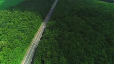 4k havadan drone görüntüleri yolda arabalar havai, ağaçların cadde ile sürüş.