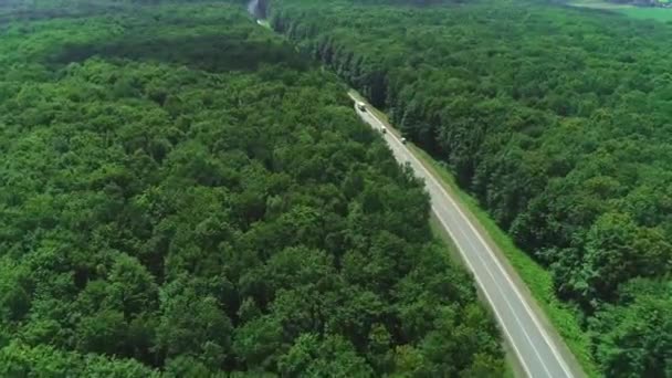 Kamyon sürüş, orman asfalt yol havadan görüntüleri seyahat. — Stok video