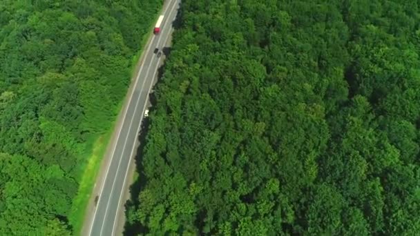 Caminhões dirigindo, viajando na floresta asfalto estrada imagens aéreas . — Vídeo de Stock