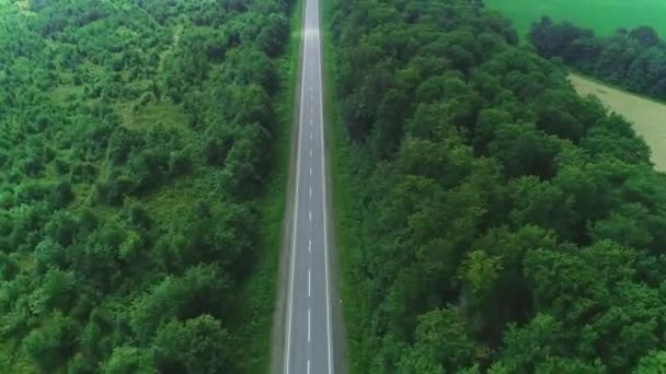 密集した植えられた木々と実りあるフィールドに囲まれた空の道路の航空写真。4k. — ストック動画