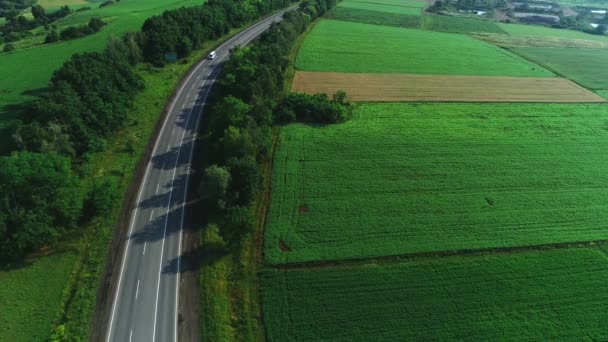 Verschillende auto's missen elkaar, rijden op een asfalt weg die het uitgestrekte bos oversteekt op een zonnige zomerdag. 4k. — Stockvideo