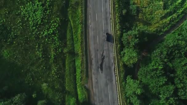Vue aérienne du dessus : voiture de couleur foncée descendant une route asphaltée traversant la vaste forêt par une journée d'été ensoleillée .