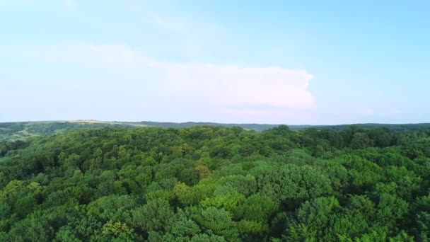 Детальный вид с воздуха на лесной массив поддерживает различные виды деревьев. 4K . — стоковое видео