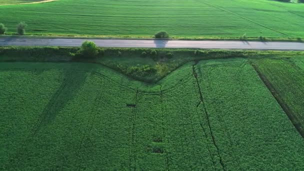 Aerial slowmo czerwonego samochodu jazdy wzdłuż pustej autostrady kraju w idyllicznym wiejskim krajobrazie. 4K. — Wideo stockowe