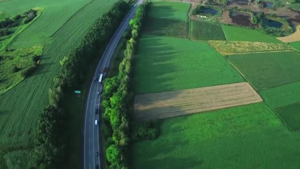 Coches de cámara lenta que conducen a lo largo de la carretera en la pintoresca zona. 4K . — Vídeos de Stock