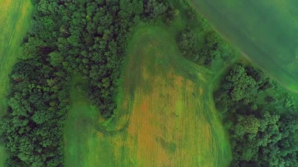 Veduta aerea drone su bellissimi terreni agricoli verdi e campi. 4K . — Video Stock