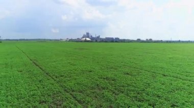 Sırt hareketi, soya çiçeği tarlaları modern fabrikaya yakın. 4k.