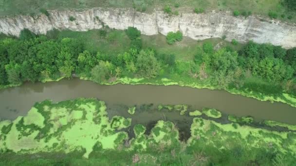 Вид з повітря, що летить над брудною річкою в болотистій лісовій місцевості. 4-кілометровий . — стокове відео