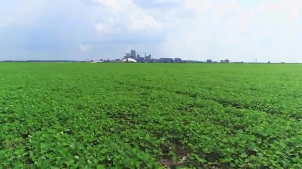 Aerial view of grain bins in farm field, agricultural landscape. 4K. — Stock Video