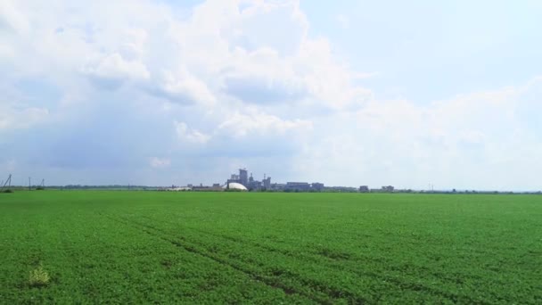 Baixa visão aérea de drones voadores de um campo agrícola . — Vídeo de Stock