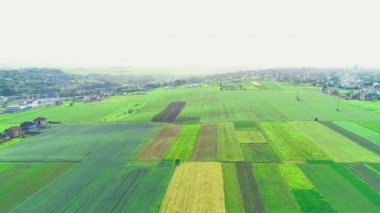 Havadan görünüm, kırsal alanda alanlar arasında evlerin yarı panorama görünümü. 4k.