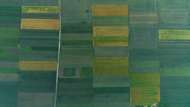 Εναέρια 4K θέα των γαιών γεωργικής καλλιέργειας. — Αρχείο Βίντεο