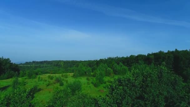 Aerial view of green forest on sunny day. 4K. — Stock Video