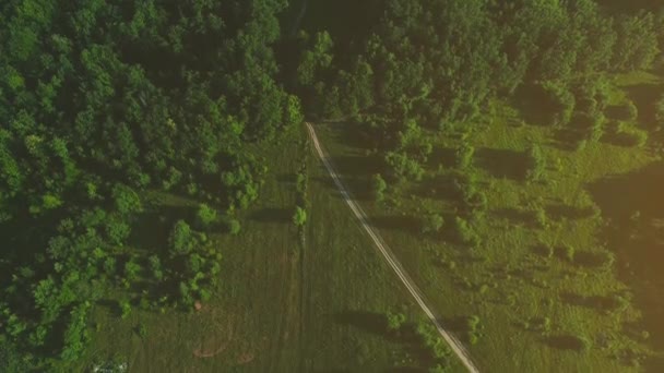 Vista aérea 4K do voo no ar sobre o prado rural na ensolarada manhã de verão . — Vídeo de Stock