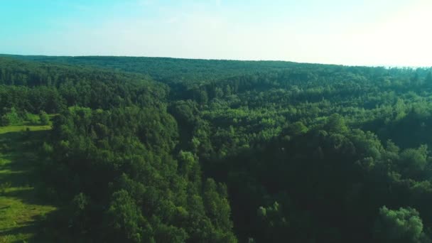 4K antenli güzel yeşil bir ormanın üzerinde uçmak kırsal bir alanda. — Stok video