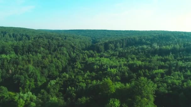 4K antena de voar sobre uma bela floresta verde em uma paisagem rural. — Vídeo de Stock