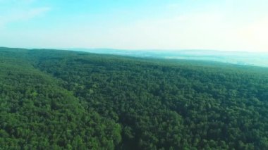 Kırsal bir alanda güzel bir yeşil orman üzerinde uçan 4k hava. 4k.