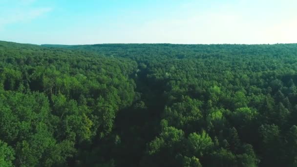 4K vue aérienne se déplace vers l'avant le long de la forêt verte, enrichie d'arbres denses. Fond naturel incroyable. 4K . — Video